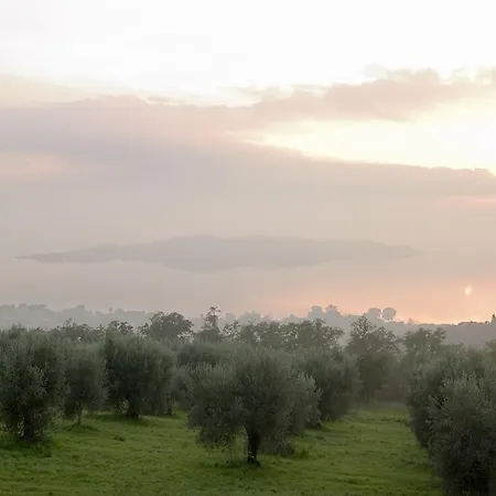 Bed & Breakfast Emporio Magione